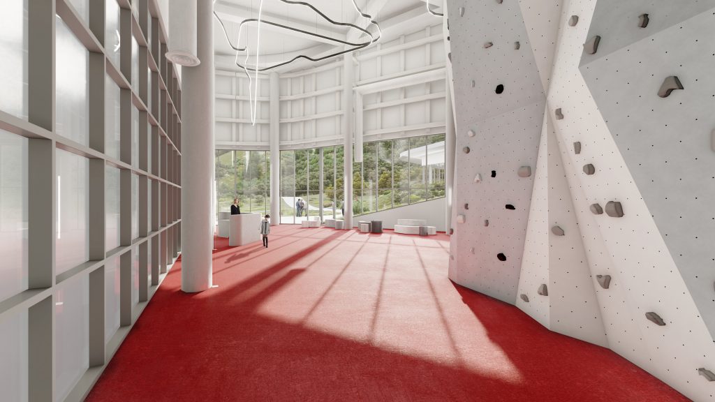 Climbing Wall